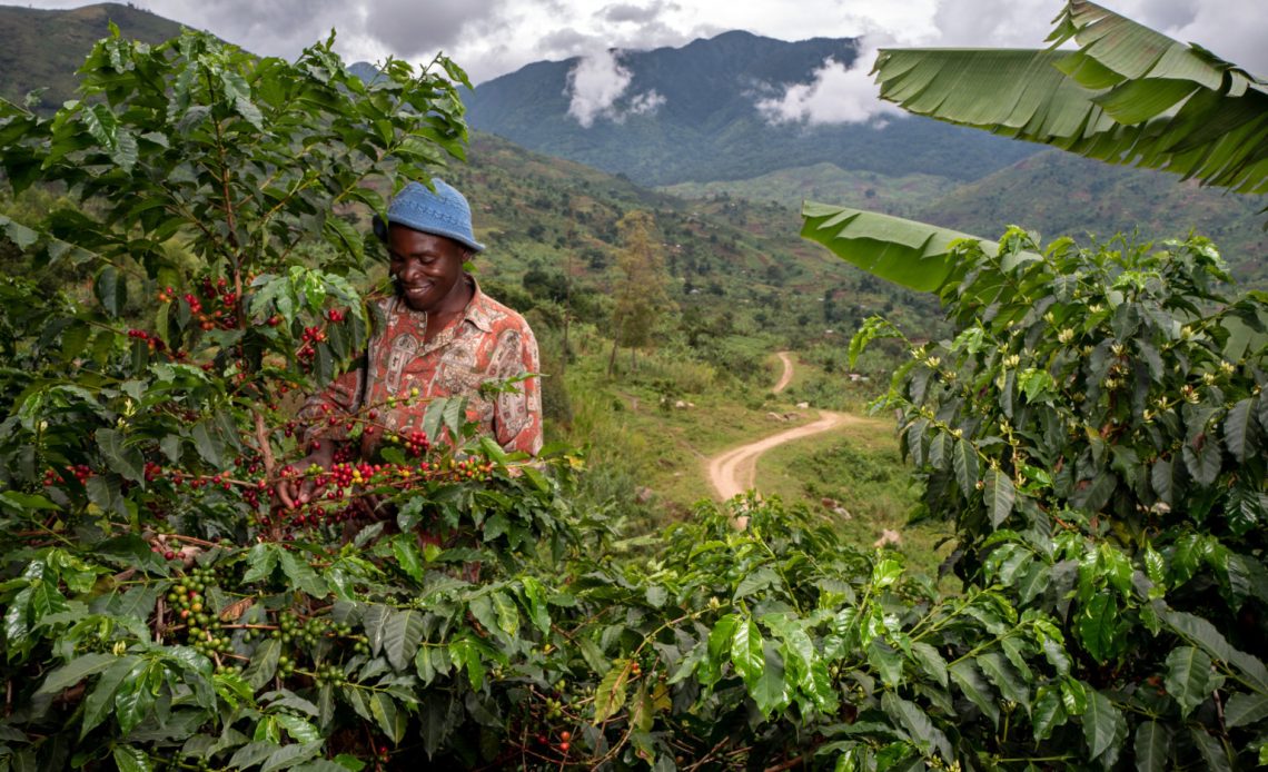 Nespresso: Ensuring Fair Trade Coffee Practices